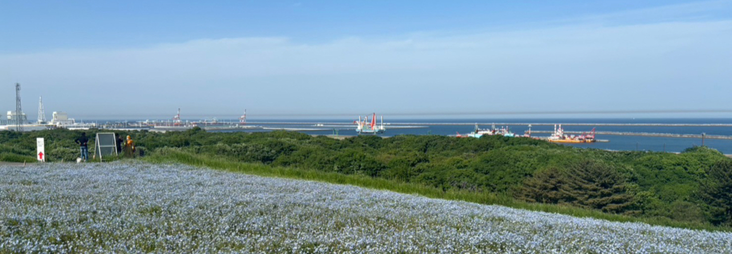 レビュアーのカバー画像