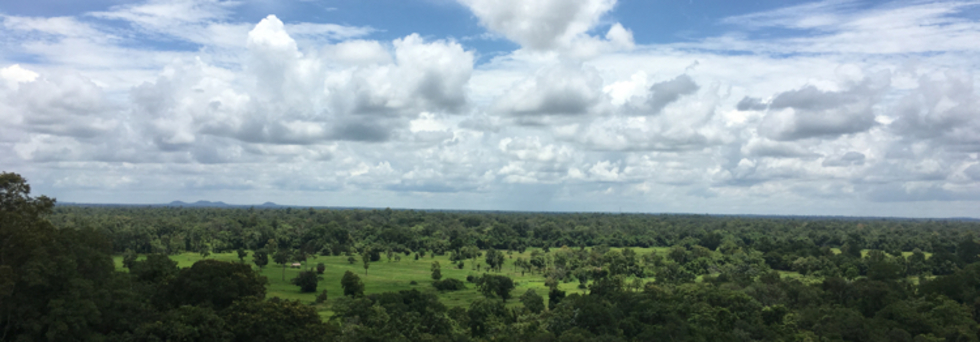 レビュアーのカバー画像