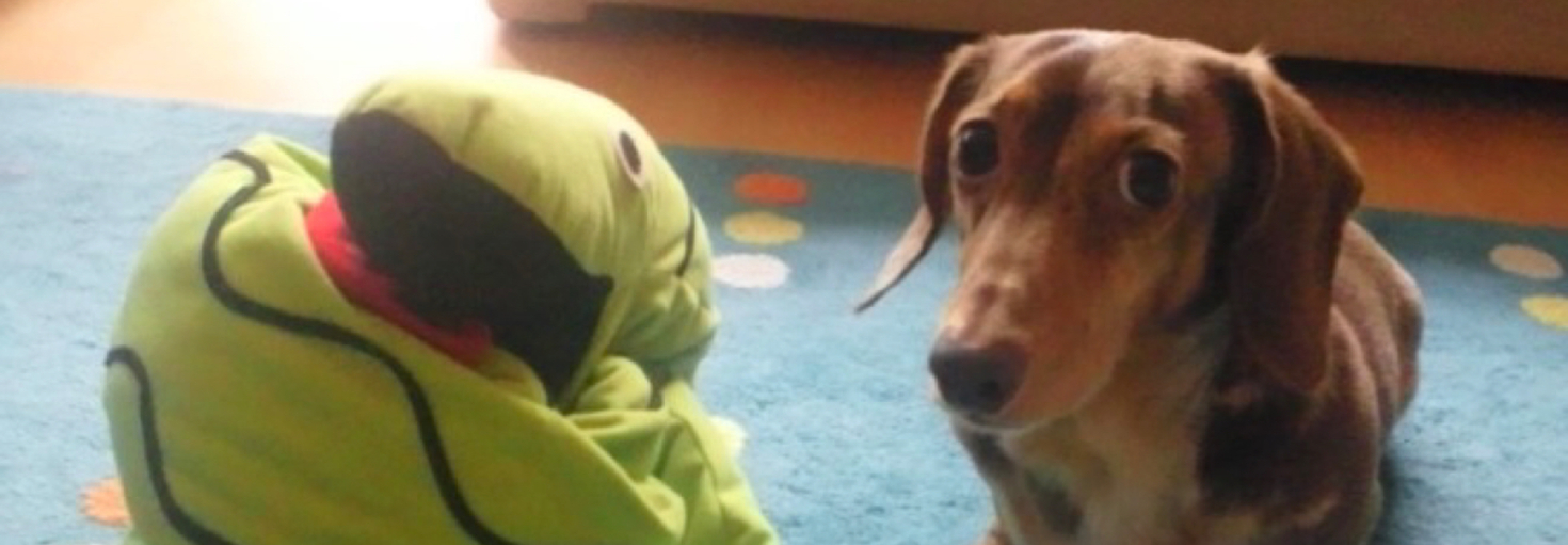 レビュアーのカバー画像