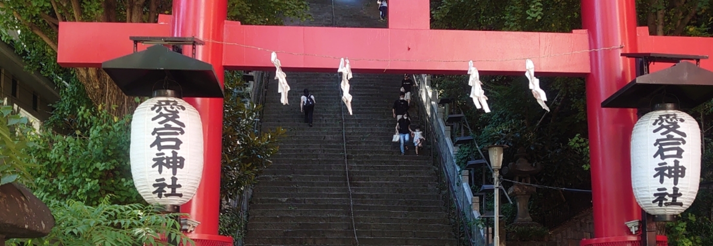 レビュアーのカバー画像