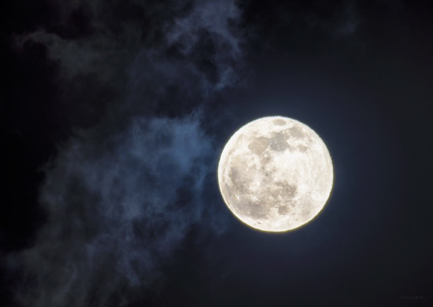 レビュアーのカバー画像