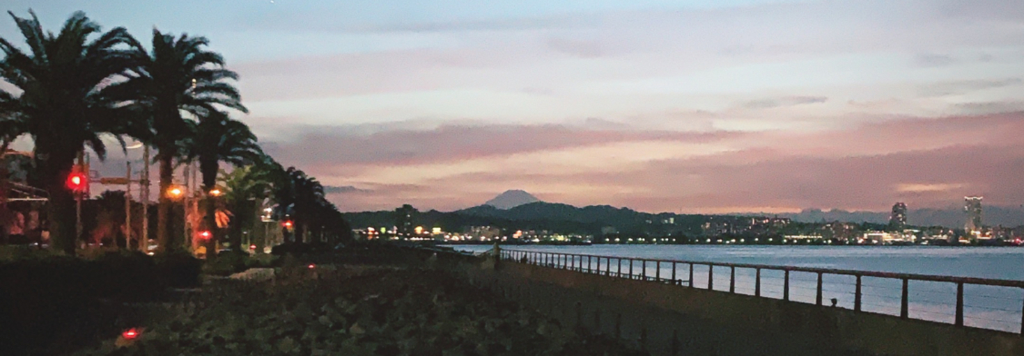 レビュアーのカバー画像