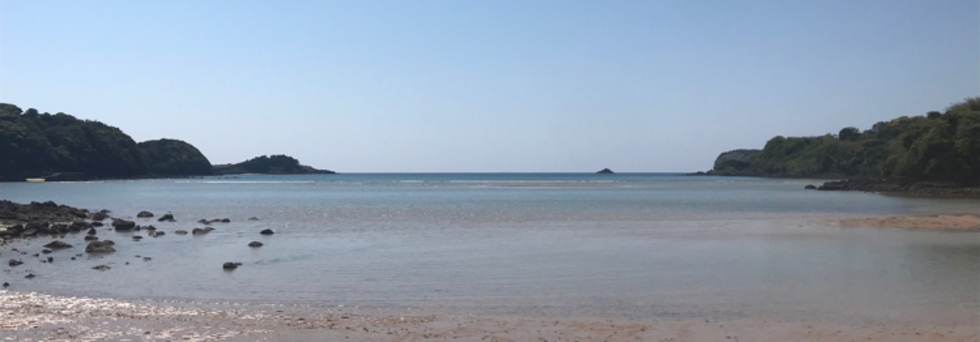 レビュアーのカバー画像