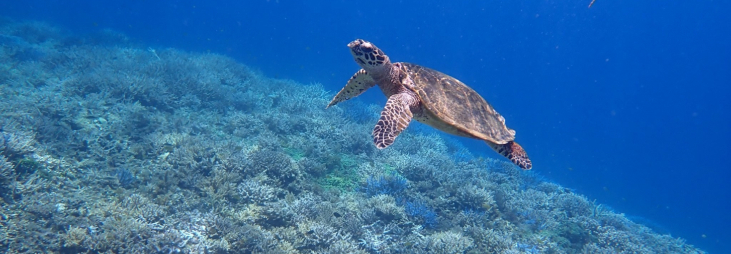 レビュアーのカバー画像