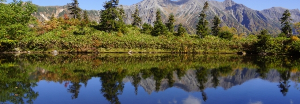 レビュアーのカバー画像