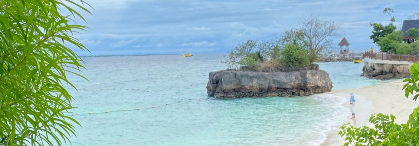 レビュアーのカバー画像