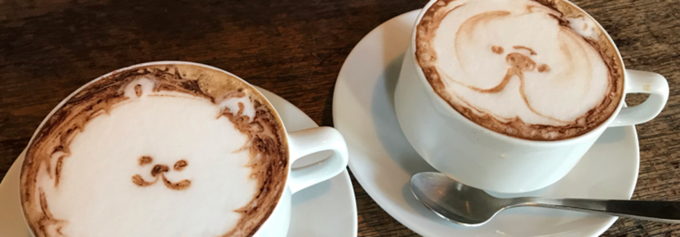 レビュアーのカバー画像