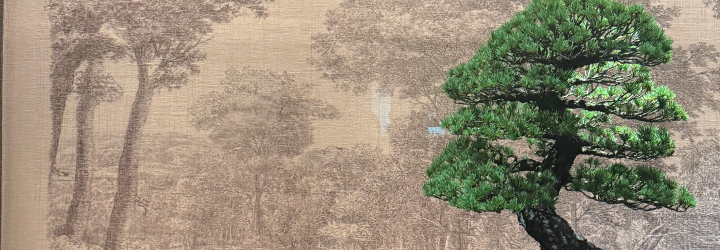 レビュアーのカバー画像