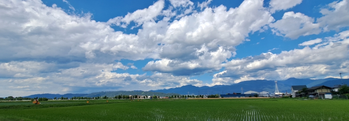 レビュアーのカバー画像