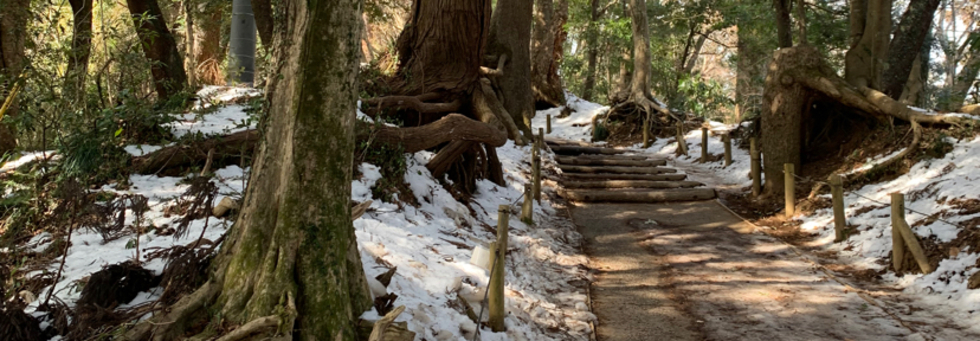 レビュアーのカバー画像