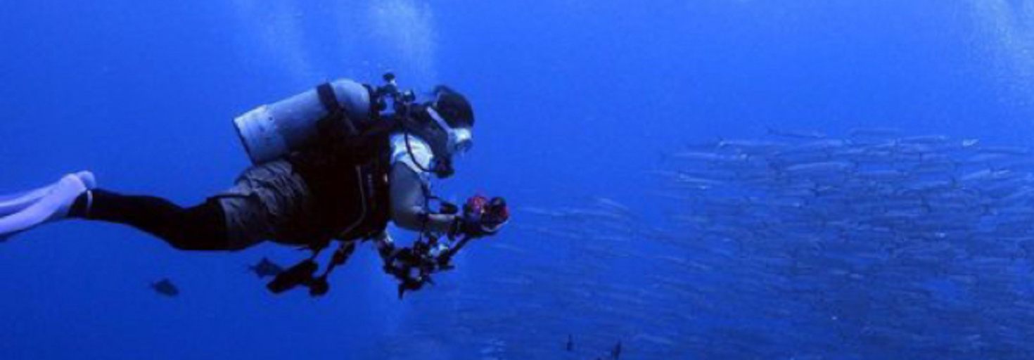 レビュアーのカバー画像