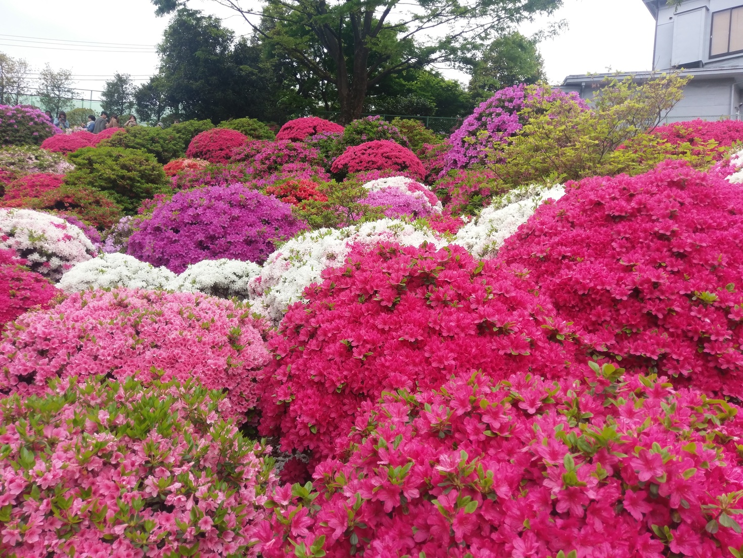 レビュアーのカバー画像