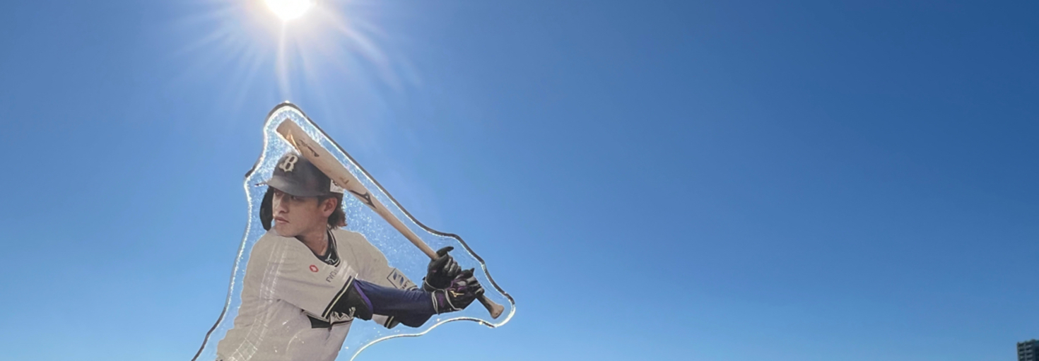 レビュアーのカバー画像