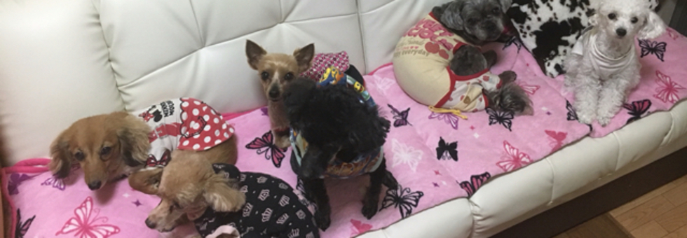 レビュアーのカバー画像