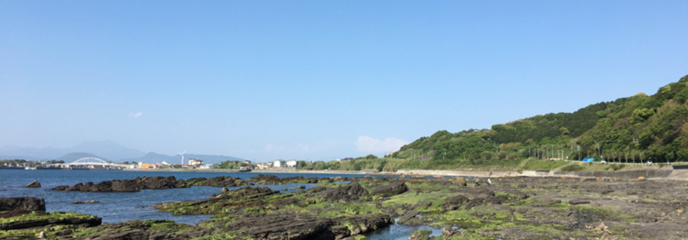 レビュアーのカバー画像