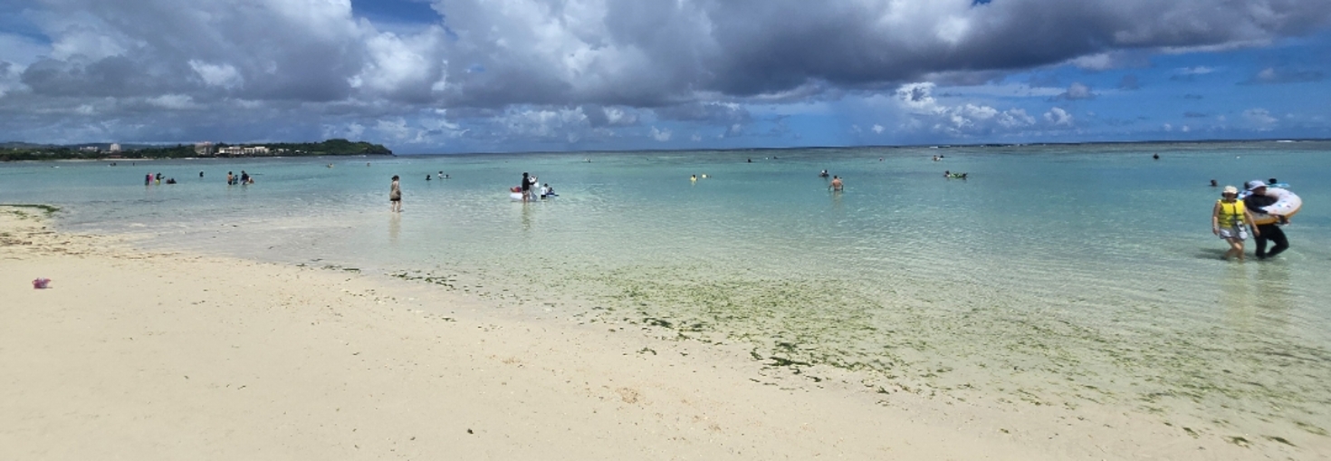 レビュアーのカバー画像