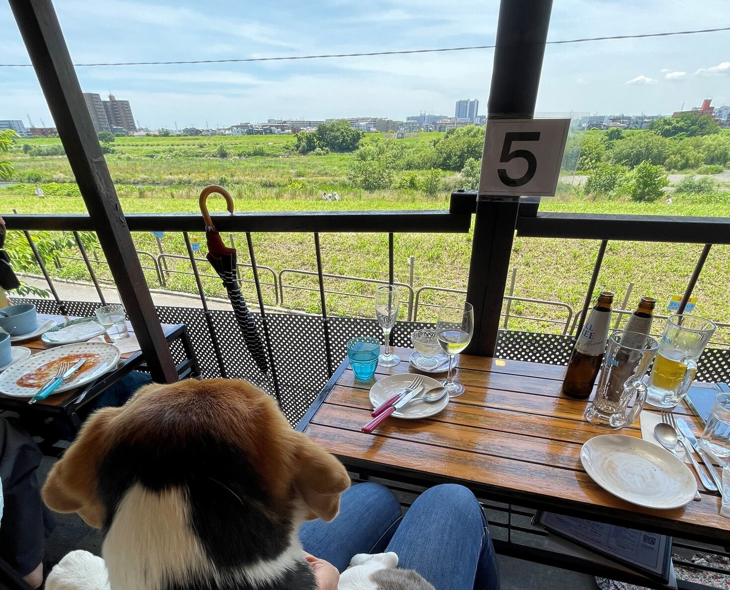 レビュアーのカバー画像