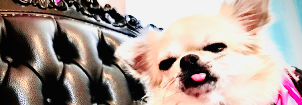 レビュアーのカバー画像