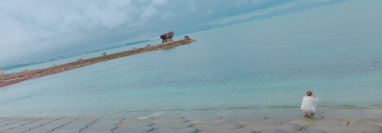 レビュアーのカバー画像