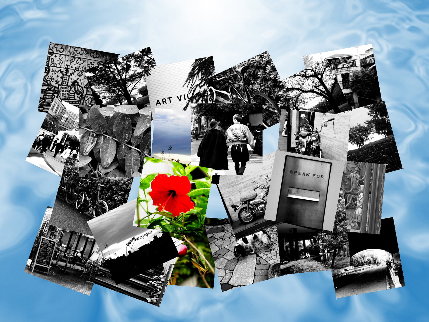 レビュアーのカバー画像