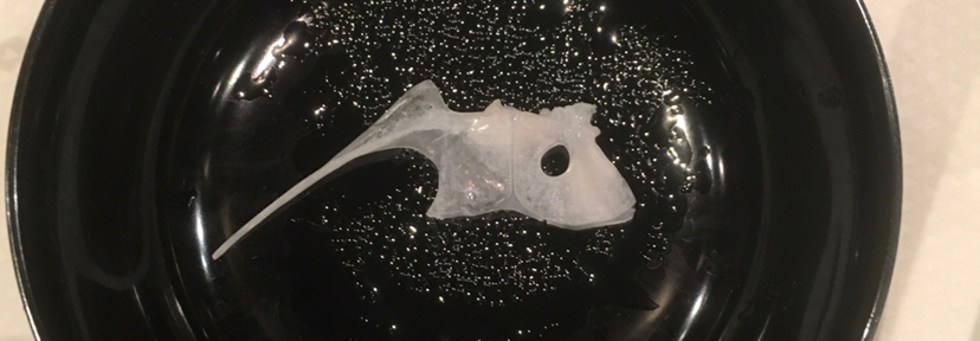 レビュアーのカバー画像