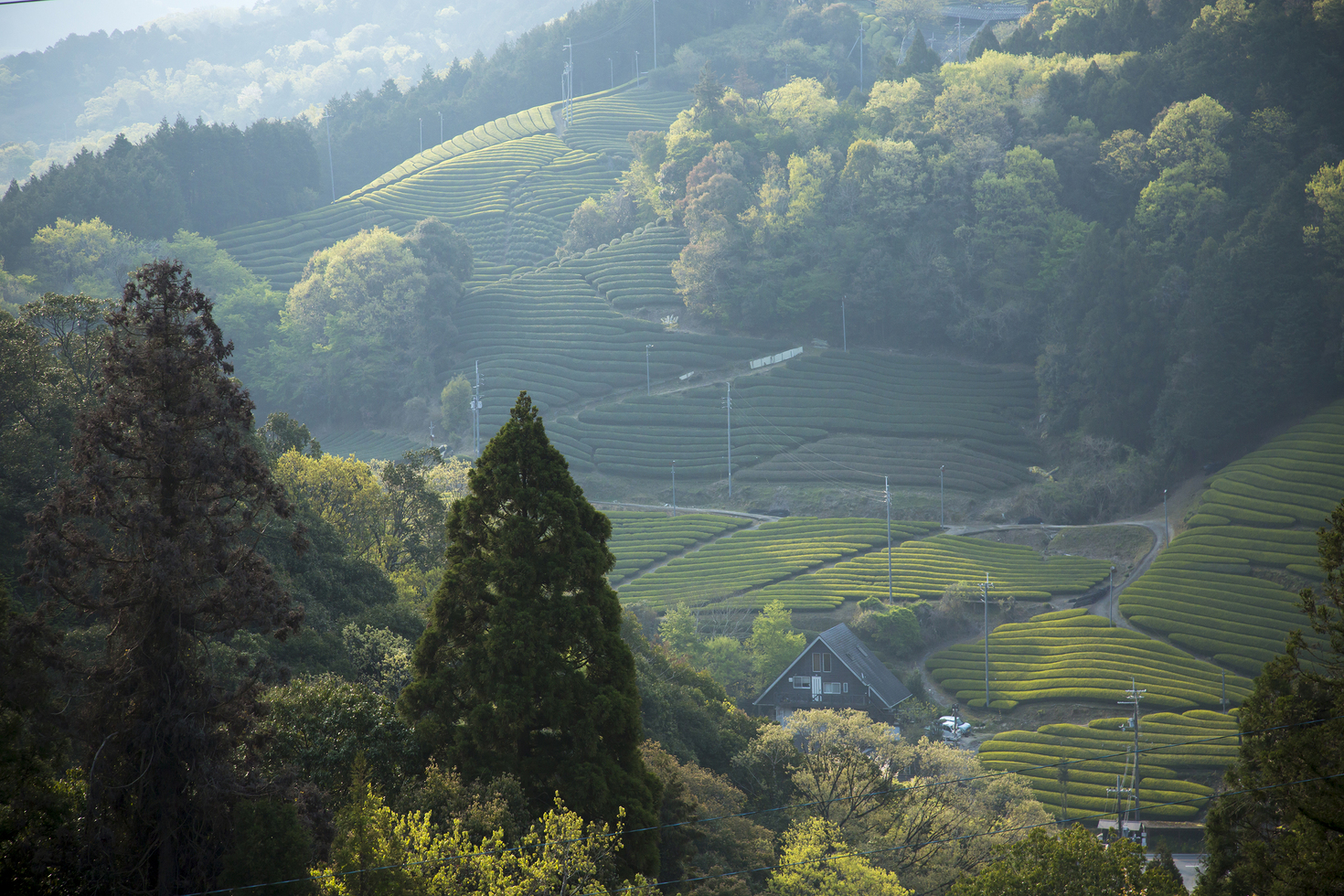 レビュアーのカバー画像