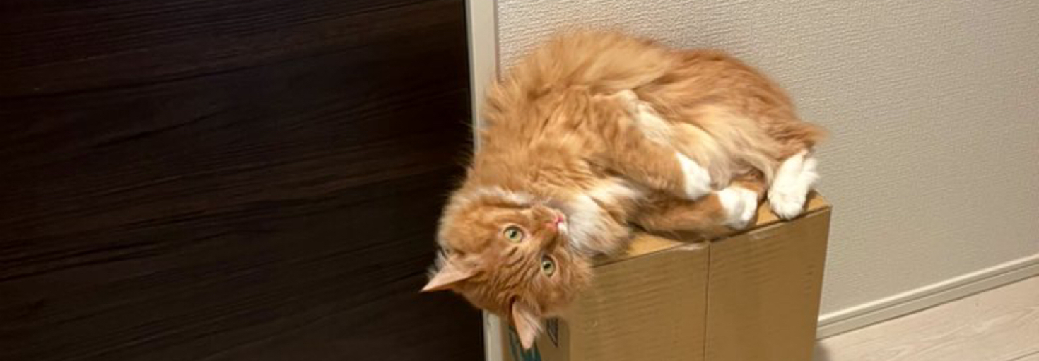 レビュアーのカバー画像