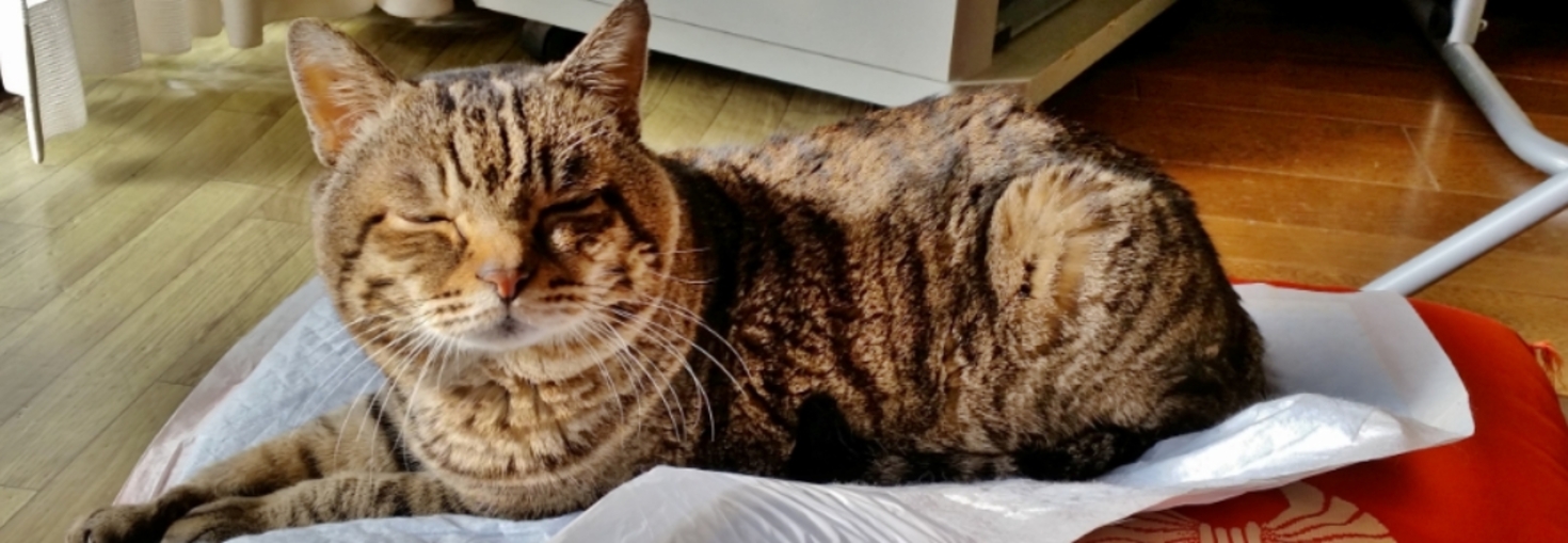 レビュアーのカバー画像