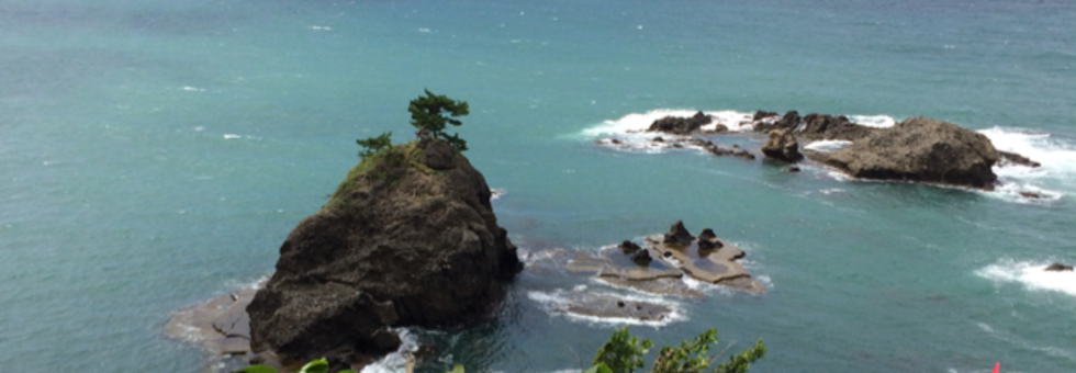 レビュアーのカバー画像