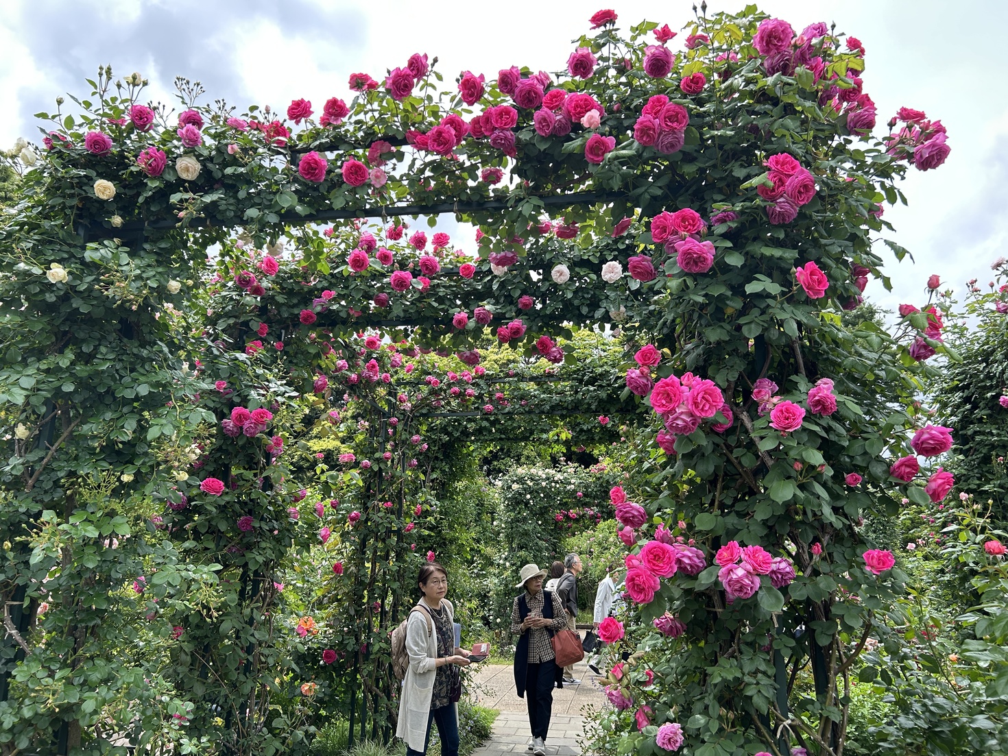 レビュアーのカバー画像