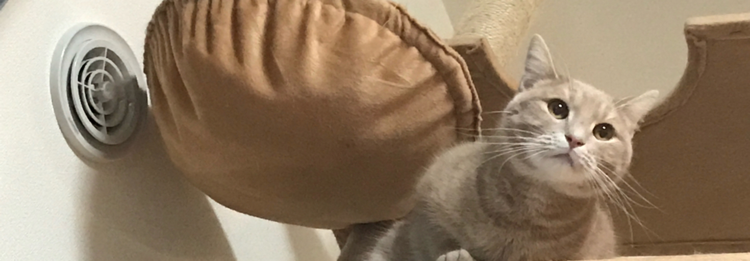 レビュアーのカバー画像