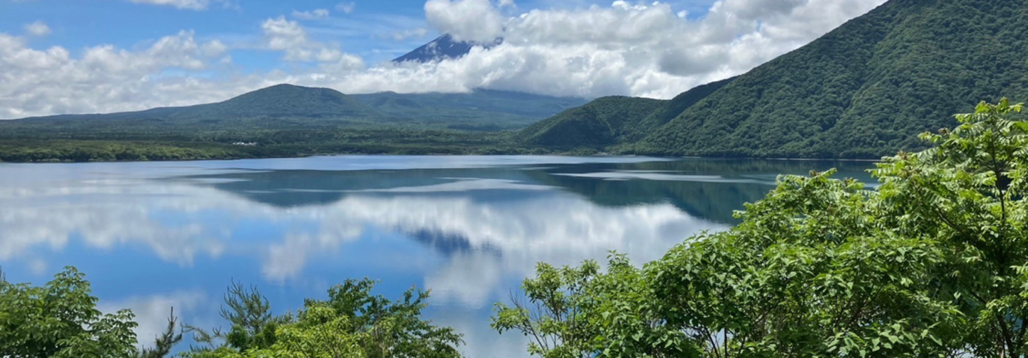 レビュアーのカバー画像