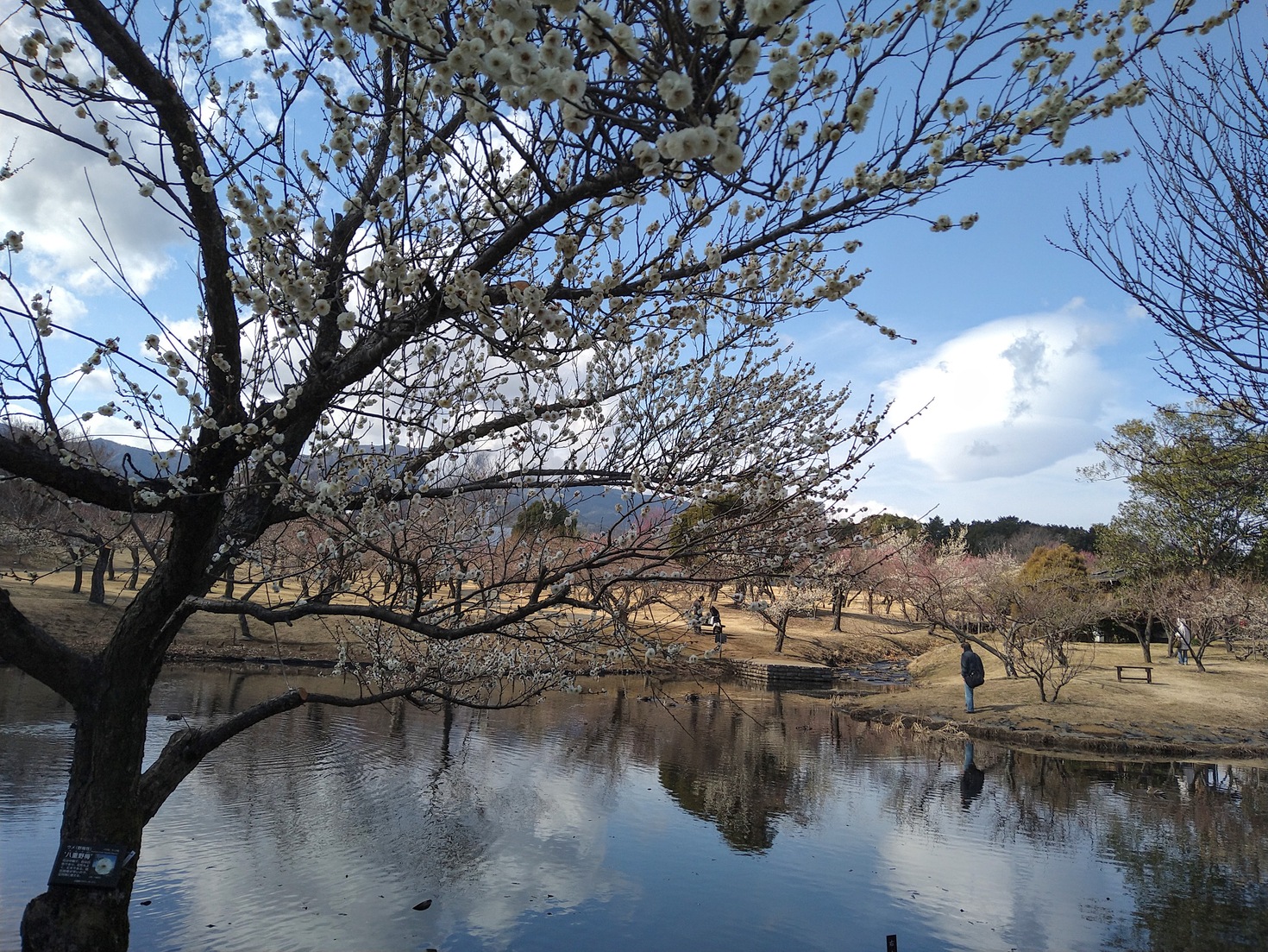 レビュアーのカバー画像