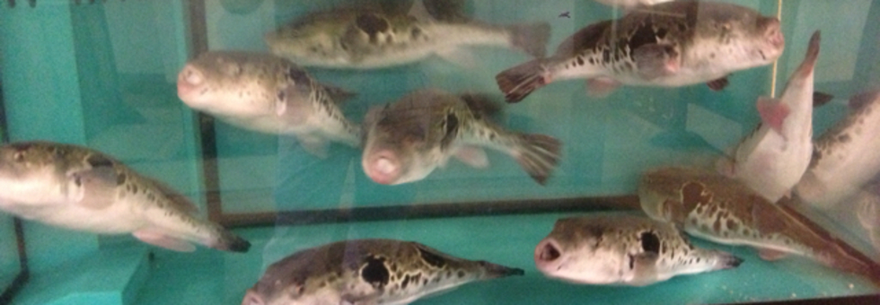 レビュアーのカバー画像