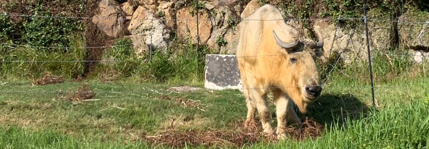 レビュアーのカバー画像