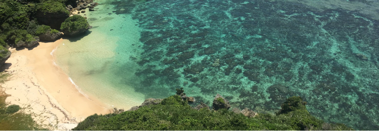 レビュアーのカバー画像