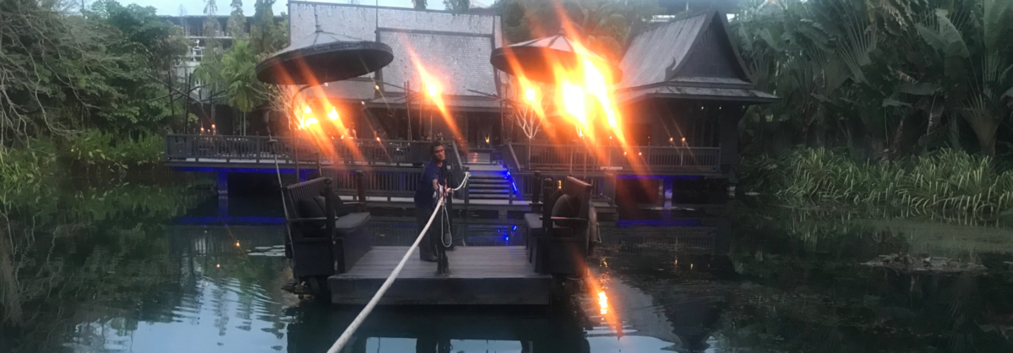 レビュアーのカバー画像