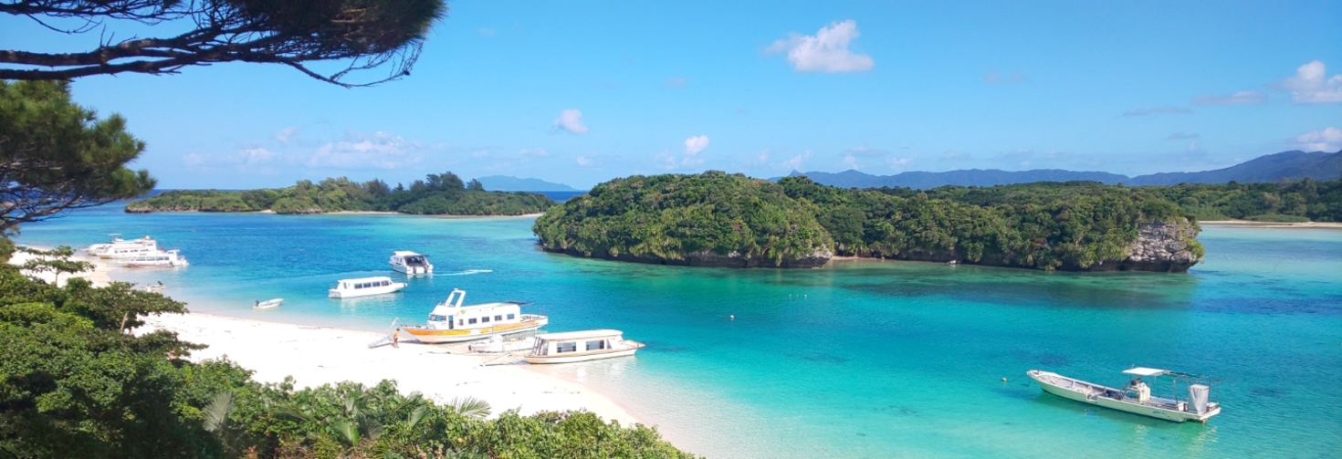 レビュアーのカバー画像