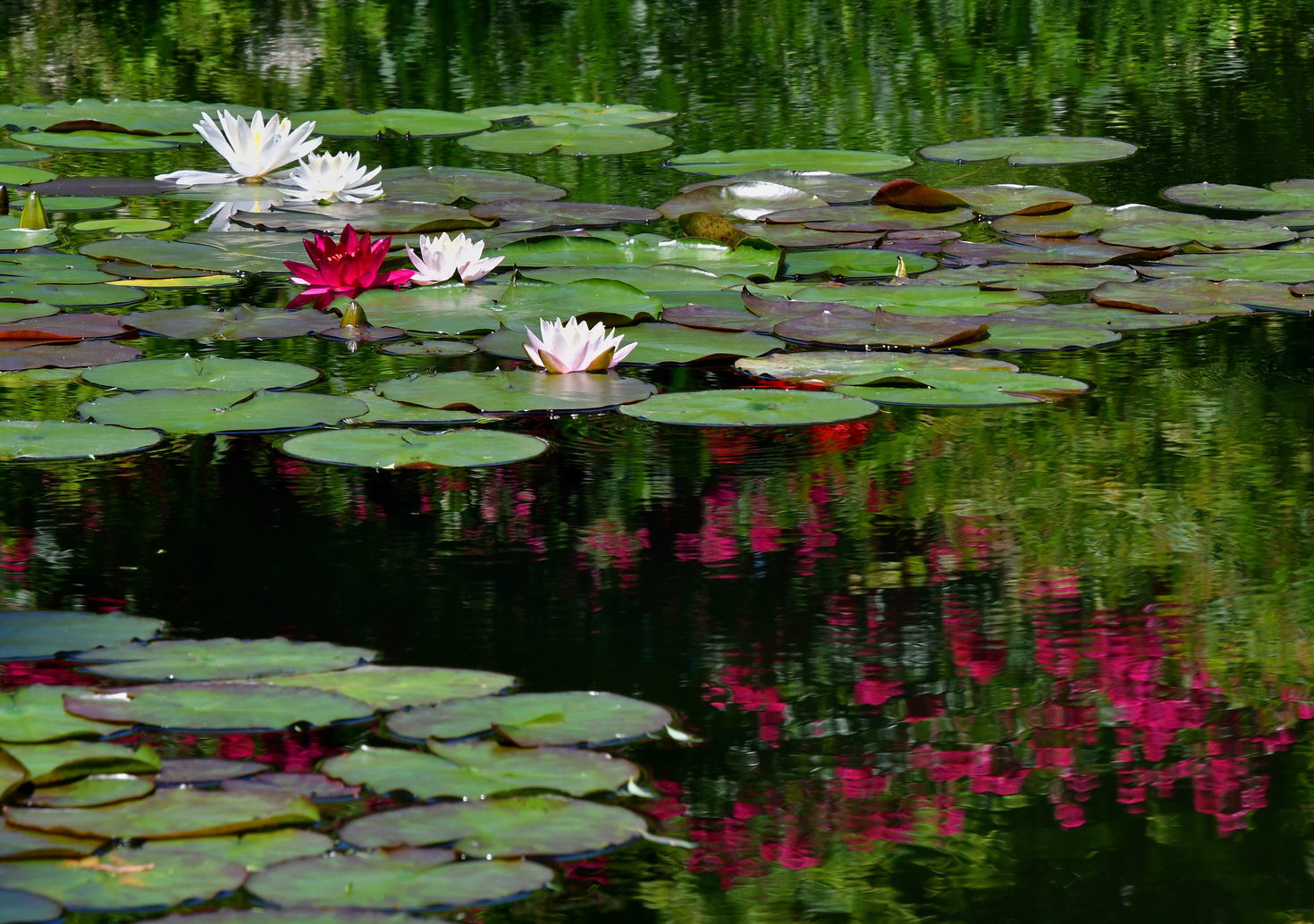 レビュアーのカバー画像