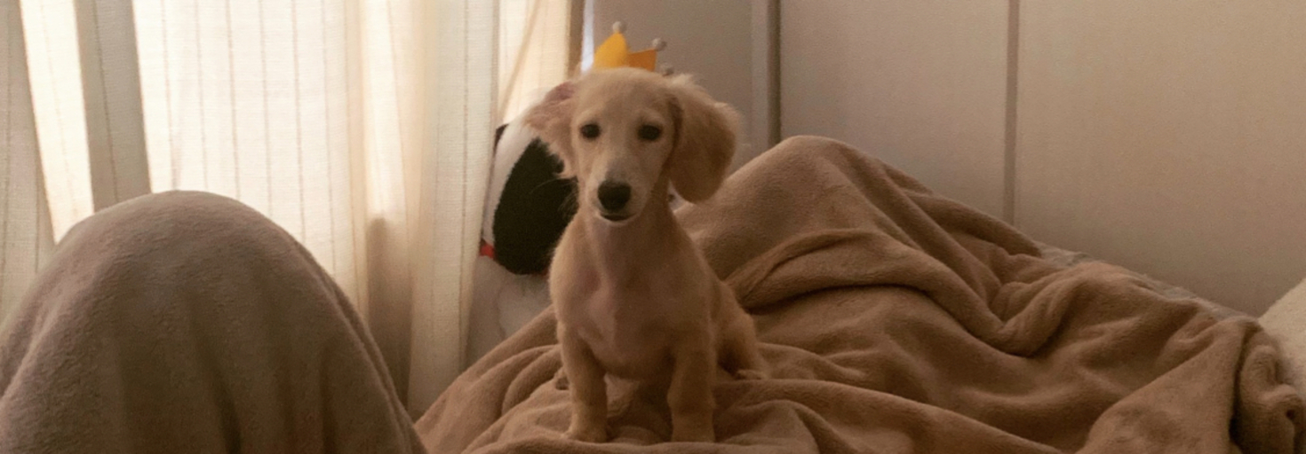 レビュアーのカバー画像