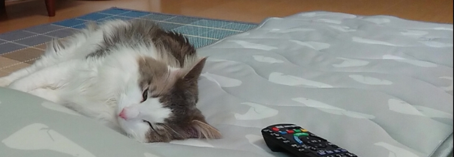 レビュアーのカバー画像