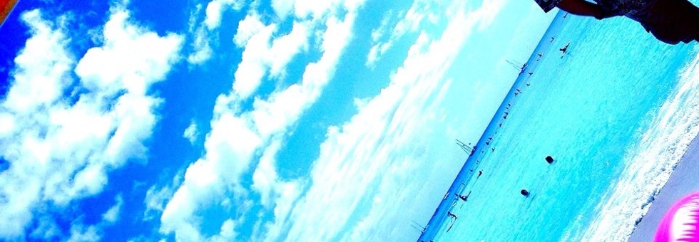 レビュアーのカバー画像