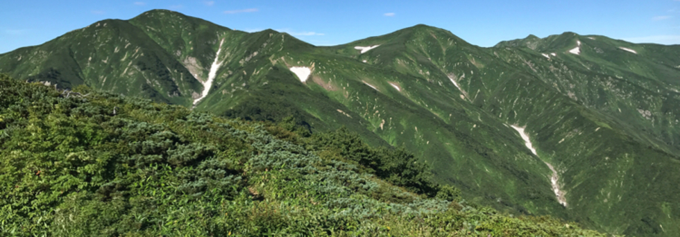 レビュアーのカバー画像