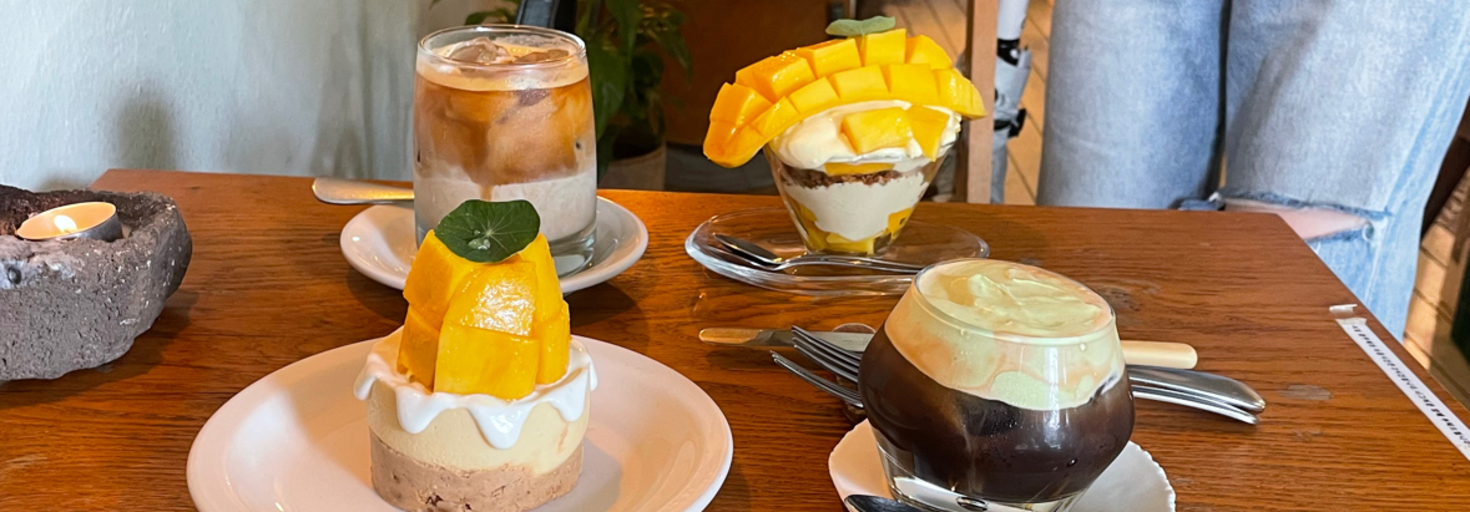 レビュアーのカバー画像