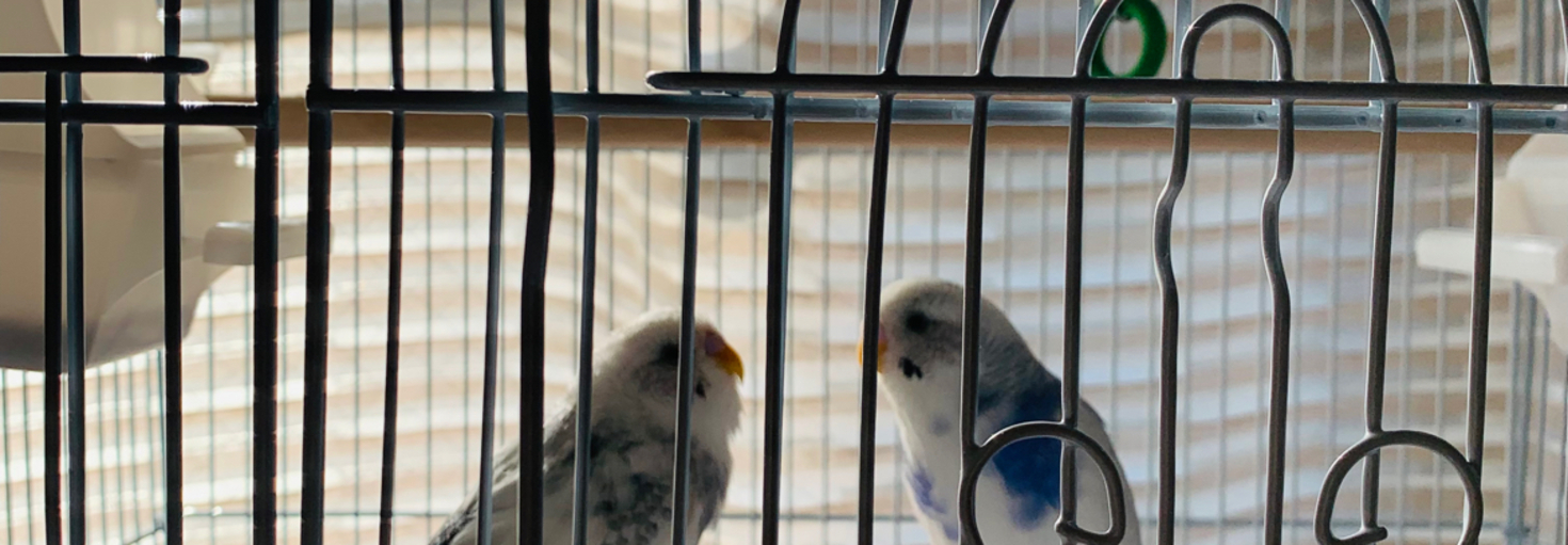 レビュアーのカバー画像