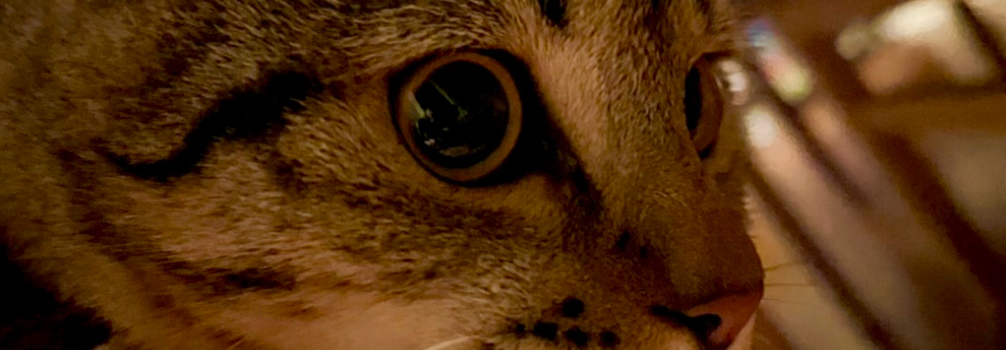 レビュアーのカバー画像