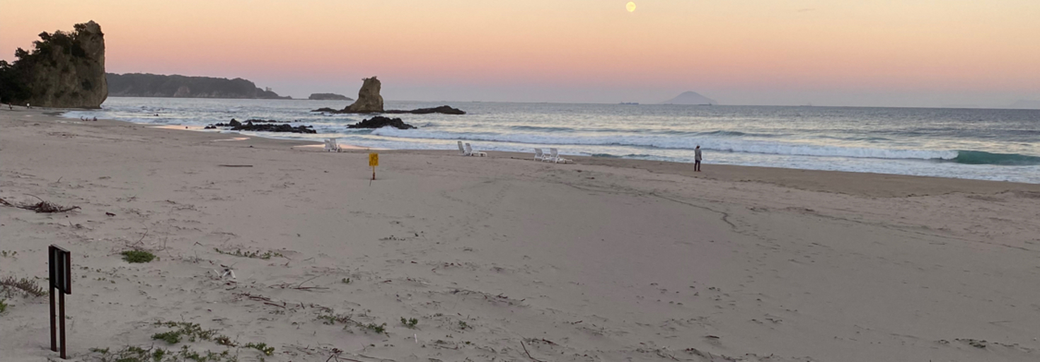 レビュアーのカバー画像