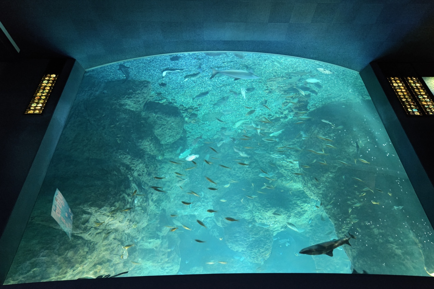 レビュアーのカバー画像