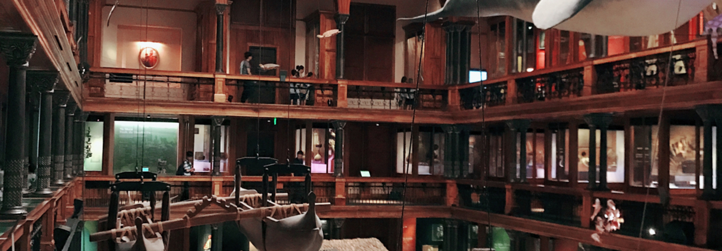 レビュアーのカバー画像