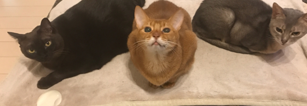 レビュアーのカバー画像